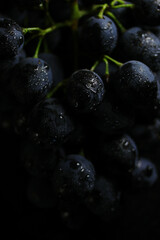 Fresh black grapes close up, organic fruit, healthy food