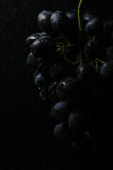 Fresh black grapes close up, organic fruit, healthy food