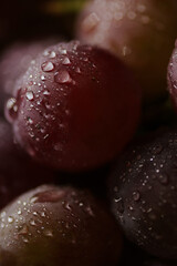 Fresh red grapes close up, organic fruit, juicy healthy food