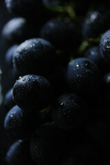 Fresh black grapes close up, organic fruit, healthy food