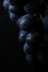 Fresh black grapes close up, organic fruit, healthy food