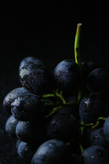 Fresh black grapes close up, organic fruit, healthy food
