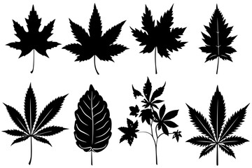 "Leaf Silhouette Vector Bundle"

"Assorted Tree and Plant Leaves Silhouette Set"

"Black Leaf Shapes Clipart Collection"
