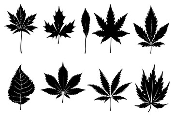 "Leaf Silhouette Vector Bundle"

"Assorted Tree and Plant Leaves Silhouette Set"

"Black Leaf Shapes Clipart Collection"