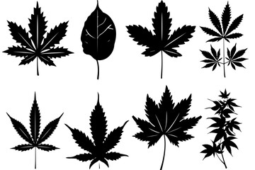 "Leaf Silhouette Vector Bundle"

"Assorted Tree and Plant Leaves Silhouette Set"

"Black Leaf Shapes Clipart Collection"