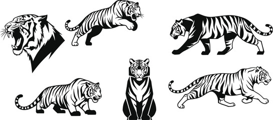Tiger illustration set, wild animal vector, roaring tiger pose, crouching tiger silhouette, abstract feline design, big cat graphic collection