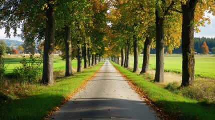 Fototapeta premium Picturesque Country Road Flanked by Trees in Autumn Colors with Scenic Green Fields in Background
