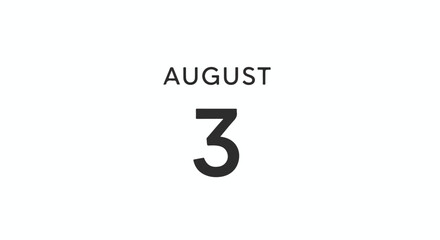 Stylized August 3rd Date Reminder: Minimalist Design for Calendars and Schedules illustration concept