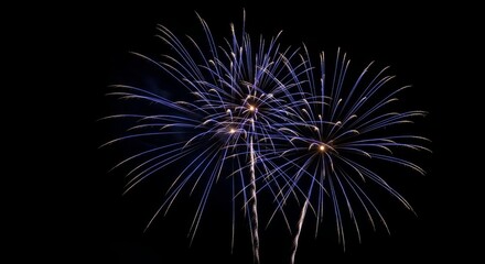 Colorful fireworks绽放于黑色夜空的美丽景象 Very good content.