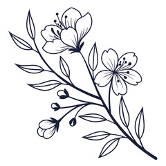 black and white floral background