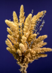 Dried Flowers and Lavender Against a Deep Blue Background