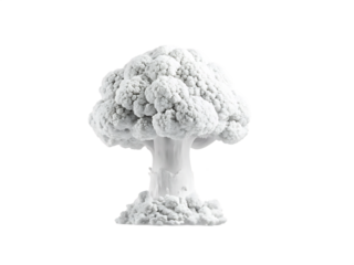 White mushroom cloud cauliflower isolated on isolated on a transparent background