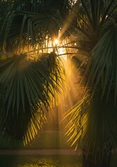Naklejka premium Vibrant orange sunset silhouettes tropical palm trees against the evening sky