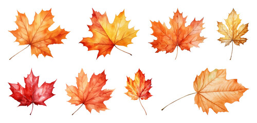 Vibrant watercolor autumn leaves collection.