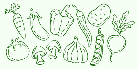Set of hand drawn vegetables and harvest produce. Carrot, potato, tomato, bell pepper, garlic, eggplant, beans illustration in vector. Vegetable doodles.