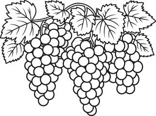 Fototapeta premium Sweet Treat Grapes Illustration – Vineyard Fruit Logo Design