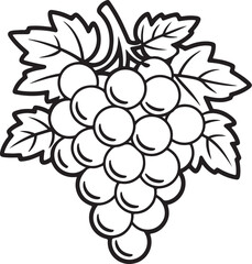 Simple Grapes Outline Drawing – Fruit Coloring Page for Kids