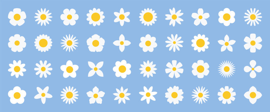 Daisy flower vector icon set. Collection of 40 flowers. Simple cute white chamomile, isolated on blue background.