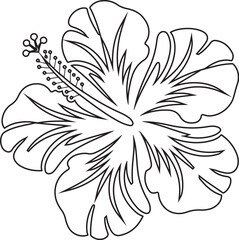 Black and White Hibiscus Flowers Trio – Tropical Floral Vector Illustration