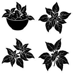 Obraz premium Black and white illustration of four plant arrangements with leaves in a pot and as a sprig design