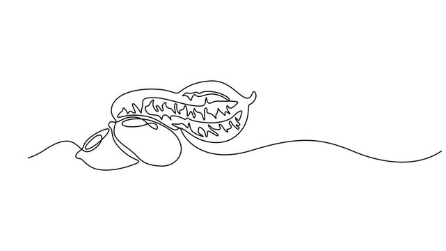 Abstract Walnut Beans Peanuts, Self drawing animation one continuous line draw, logo, Fresh delicious groundnut concept for edible seeds icon. Full length single line animation, Hand-drawn minimalist.
