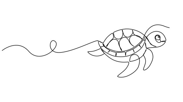 Self drawing animation of sea turtle drawn by one continuous line. Animated single line doodle animal, Turtle. One line drawing animation. Video clip with alpha channel, Full length line animation.