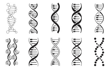 DNA Structure Collection Scientific Illustrations of Genetic Code and Double Helix