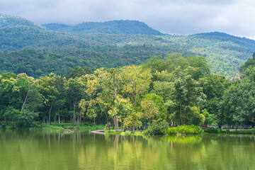 Fototapeta premium a public place leisure travel landscape lake views at Ang Kaew Chiang Mai University and Doi Suthep nature forest Mountain views spring cloudy sky background with white cloud.
