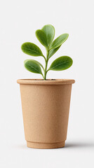 Fototapeta premium Young Plant Growing in a Simple Clay Pot Brightening Indoor Space With Green Foliage