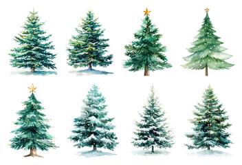 Obraz premium Watercolor evergreen trees wintery charm.