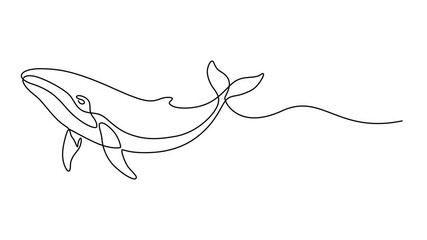 wild whale fish continuous one line drawing animation, Animated self drawing of continuous one line draw wild whale fish swimming in sea life. Marine animal digital concept. Blue whale and scuba diver