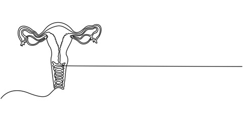 Human reproductive system one line continuous drawing. Human organ continuous one line illustration. Vector minimalist linear illustration, one line outline vector illustration for women's health.