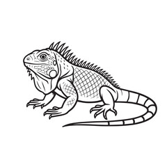 Vector drawing of a detailed iguana in black and white style, outlined boldly, conveying realism, reptilian texture, and minimal yet artistic illustration concepts.
