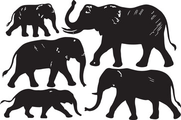 Collection of five black elephant silhouettes in various poses on a white background representing african wildlife