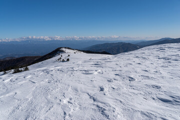 雪景色の富士見台高原