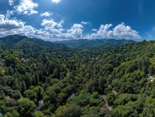 Obraz premium Panoramic view of a lush green valley nestled between rolling hills under a vibrant blue sky dotted with fluffy white clouds