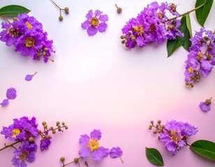 Delicate purple flowers arranged in a frame