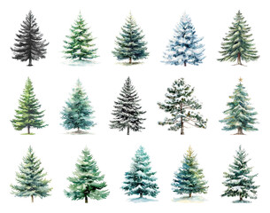 Obraz premium Variety of snowy evergreen trees.