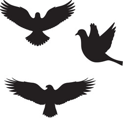 Fototapeta premium Birds in Flight Silhouette