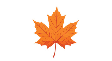 Illustration of a vibrant orange maple leaf with detailed veins and pointed lobes, isolated on a white background.