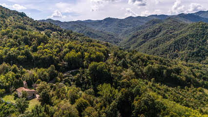 Naklejka premium default