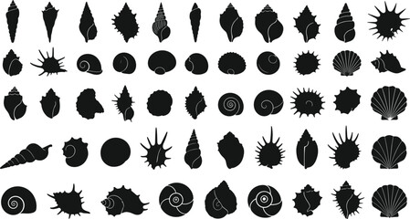 Black silhouette seashell icons, marine shells, ocean collection, spiral conch, scallop shell, conical shell, natural design, vector illustration, coastal pattern
