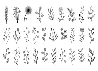 Fototapeta premium Elegant Botanical Line Art Collection Featuring Hand Drawn Floral Elements and Delicate Branch Designs for Creative Projects and Invitations