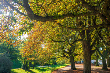 Park im Sp&auml;tsommer in Rostock