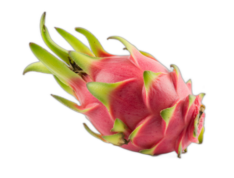 Red dragon fruit pitaya on transparent background