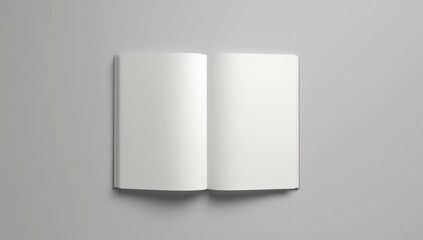 DL Bi-Fold Brochure Mockup