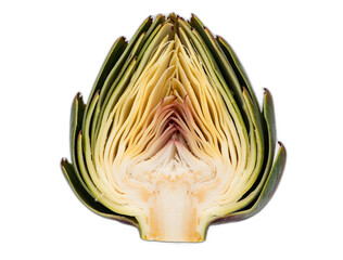 Obraz premium Artichoke half cross-section showing raw vegetable interior