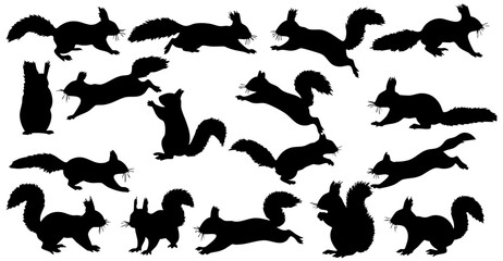 Simple Black Silhouette Squirrel Activity Set Various Poses Animal Illustration