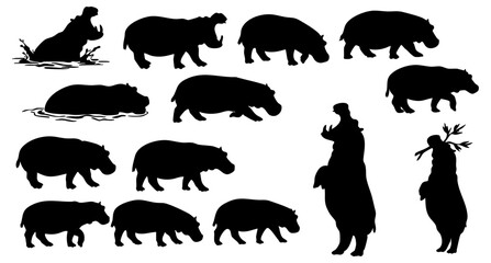 Silhouette Diverse Hippopotamus Animal Wildlife Nature Illustration Collection Set