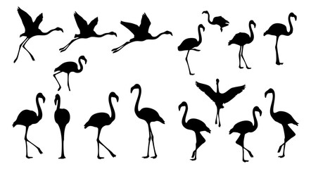 Silhouette Graphic Flamingo Bird Flying Posing Collection Wildlife Illustration
